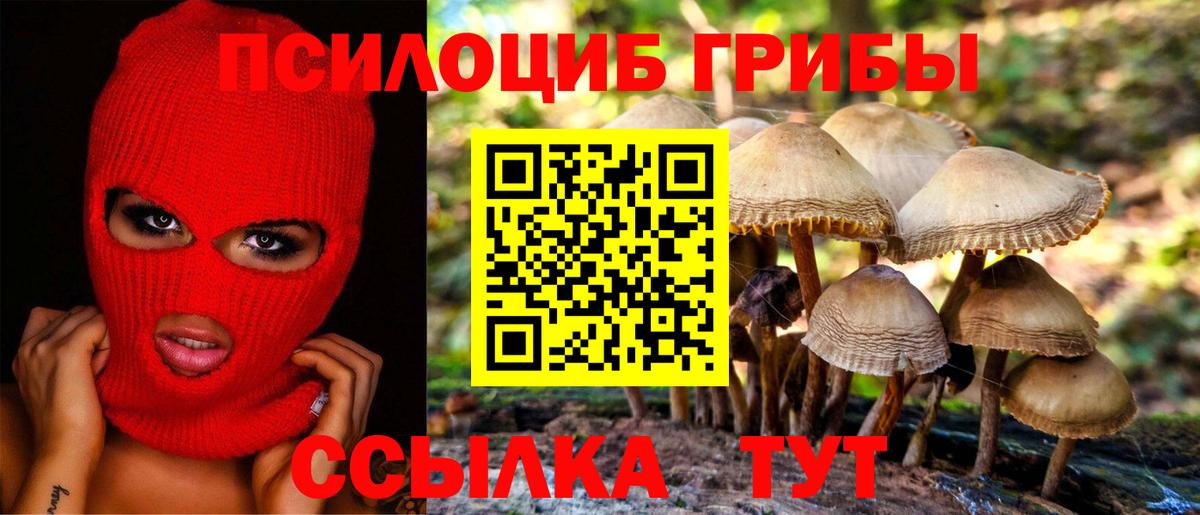 Галлюциногенные грибы GOLDEN TEACHER Лиски